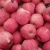 Import Crisp Fruit Preservation Apple Fresh from China