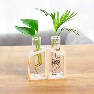 Crystal Glass Test Tube Plant Terrarium Vase Flower Pots for Hydroponic Plants Home Garden Decoration