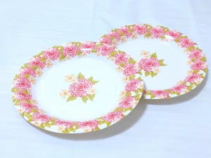 Custom design printing package disposable paper partyware paper plates