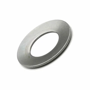 Customized High Quality DIN2093 Belleville Spring Washer Stainless Steel 304 Disc Spring