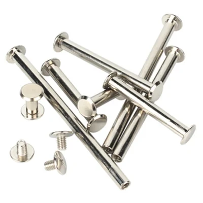 Customized Ss Slotted Flat Head Chicago Screws