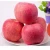 Import Delicious juicy fuji apples chinese fresh red apple from China