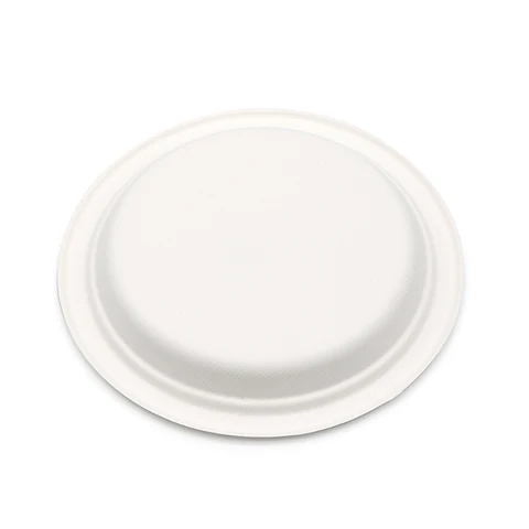 Buy Disposable Compostable Sugarcane Bagasse Food Paper Plates Bamboo ...