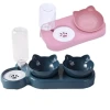 Dog Cat Bowls Automatic Pet Feeder 15 Degree Tilt And 360 Degree Rotatable With Automatic Water Bottle