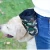 Import Dog Treat Pouch Training Bag for Carrying Dog Food/Feed or Dog Training Products from China