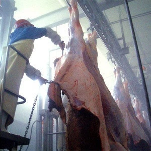 Donkey Meat Slaughter With Quality Meat Processing Butcher Machine