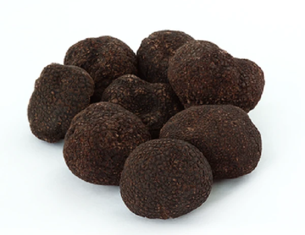 DRIED AND FRESH WILD TRUFFLES WITH GOOD PRICES