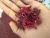 Import Dried Hibiscus Flowers Available... from India
