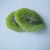 Import Dried kiwi fruit in high quality Japan market hot sale from China