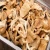 Import Dried oyster mushrooms from China