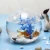 Import Ecological glass pot ornamental fish tank from China