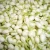 Import Excellent Grade Fresh Cut Jasmine Flower from India