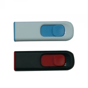 Factory Customization Best Price Wholesale USB Flash Drive Plastic 2GB Removable Disk Clear Plastic Disk