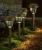 Import Factory Hot Sales Solar Powered Waterproof Outdoor Light Garden solar led light from China