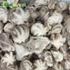 factory price iqf frozen baby octopus whole cleaned for sale