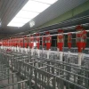 Farm pig feeding equipment feeding system is very easy to use feed line