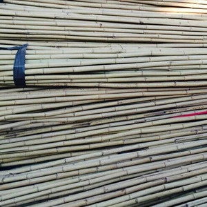 FD-15929Bamboo timber raw materials Anticorrosion mildew bamboo processing