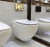 Import Foshan high quality wall hung toilet from China