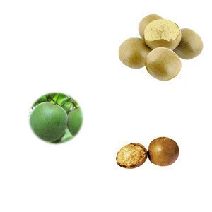 Free Samples Bulk Organic Luo Han Guo Extract Powder Sweetener 50% Mogorside V Monk Fruit Extract
