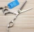 Import Free shipping JOEWELL 6.0 inch silver handle hair  cutting/ thinning hair scissors with gemstone from China