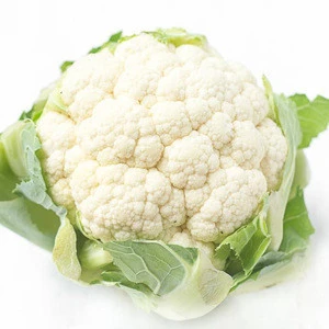 Fresh Cauliflower , Pakistan green vegetable exporter , Fresh Bulk cauliflower