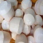 FRESH COCONUT FROM VIETNAM