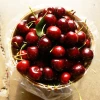 Fresh Dark Red Cherries
