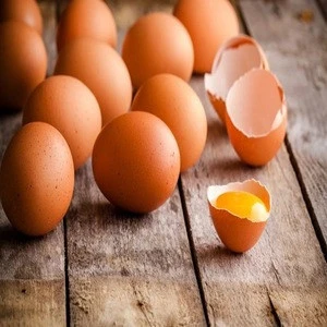 Fresh Farm Chicken Table Eggs/Fresh Chicken Hatching EGGS At Good Prices
