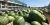 Import Fresh Fruits Water Melons Quality As export standard from South Africa