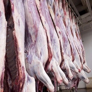 Fresh Halal Buffalo Boneless Meat/ Frozen Beef meat
