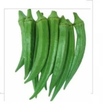 Fresh Okra Lady Finger /Fresh Green Okra
