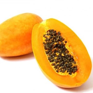 Fresh Papaya Leaves Max Green Sweet Vietnam Style Packing