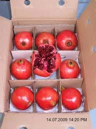 Fresh Pomegranate High quality