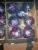 Import Fresh Red cabbage from Egypt