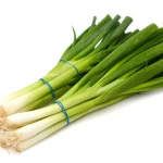 Fresh Scallions/Fresh Green Onion/ Green onion , Welsh onion , Scallion