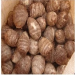 Fresh Taro /mesh bag for sale