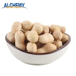 fried salted peanuts from China