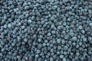 frozen blueberry fruit--iqf blueberries wild fresh blueberries wholesale