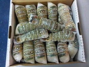 Frozen Fresh Live Green Lobster - Alive Bamboo Lobster, Frozen Whole Lobsters, Frozen Lobster Tails
