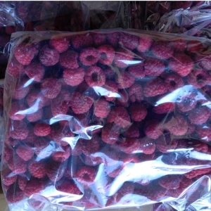Frozen Style and Whole Shape IQF frozen Raspberries price
