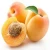 Import frozen style fresh apricot Cherry Fruit from Germany