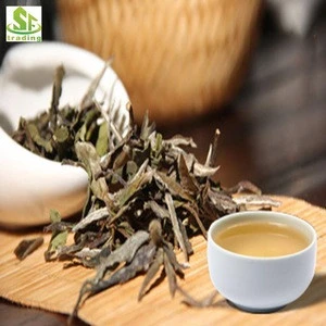 Fujian silver needle white tea,Free sample,organic silver needle white tea
