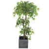 Garden Art Wholesale Green Artificial Maple Tree House Ornamental Plastic Tree Plants for Office Decor