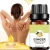 Import Ginger Essential Oil-Natural Plant Essence Ginger Massage Essential Oil Lymphatic Beauty- 30ML from China