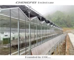 Glass Greenhouses Used