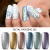 Import global newest carve lacquer paint nail polish metal mirror color painting uv gel for nails from China