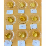 gold color pigments gold color pearl mica powder epoxy pigment