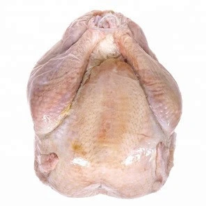 Grade AAA Premium Quality Frozen Turkey Meat Price Reduced