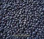 Green Mung Bean