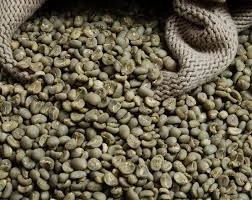 Green Robusta Coffee Bean